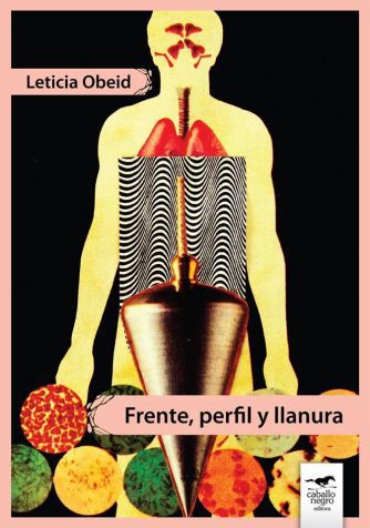 <strong>FRENTE, PERFIL Y LLANURA</strong><br>Leticia Obeid<br> <a class="edits" href="https://distribucionbyr.com.ar/editoriales/CaballoNegro">Caballo Negro</a>